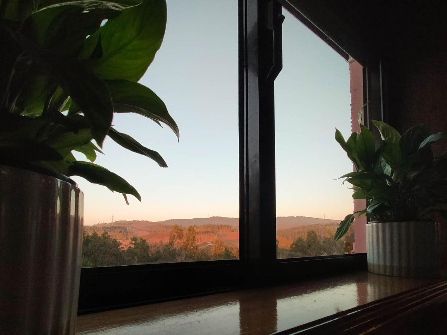 Eucalyptus Pink House Ferienhaus *