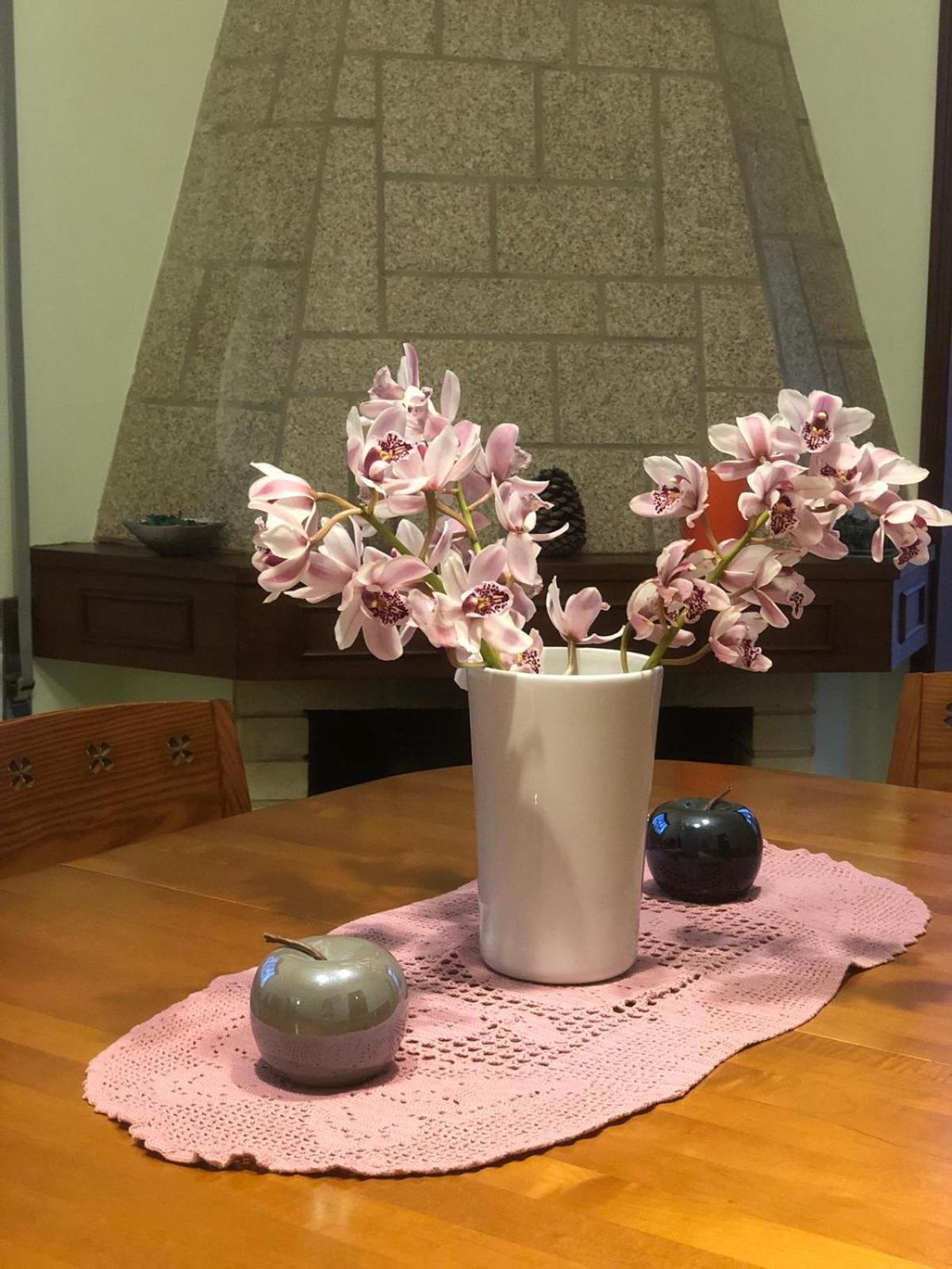 Eucalyptus Pink House Holiday home Covelo (Porto)